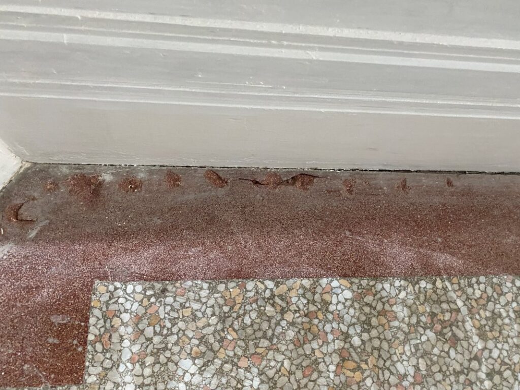 Terrazzo Hallway Floor Before Renovation Neath